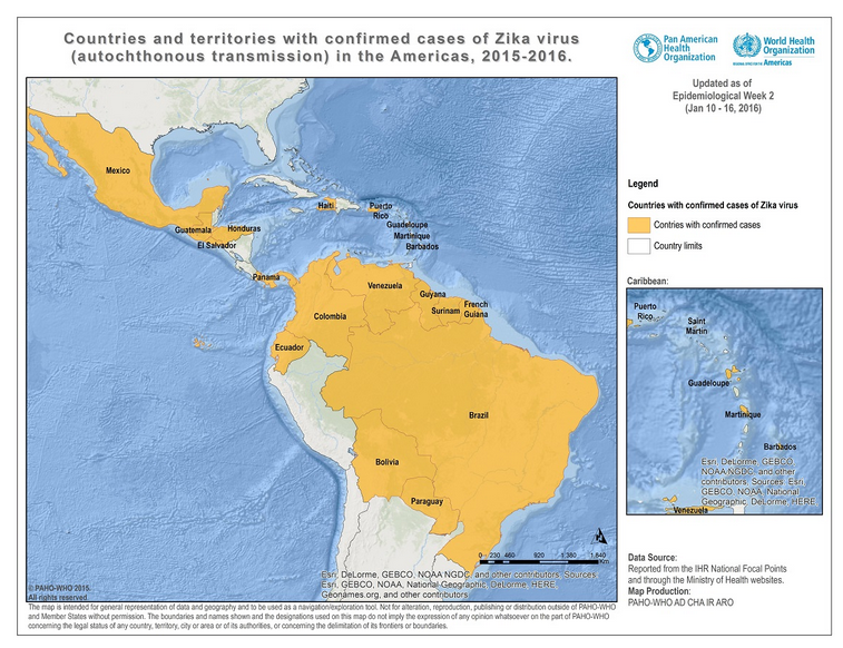 Zika virus outbreak